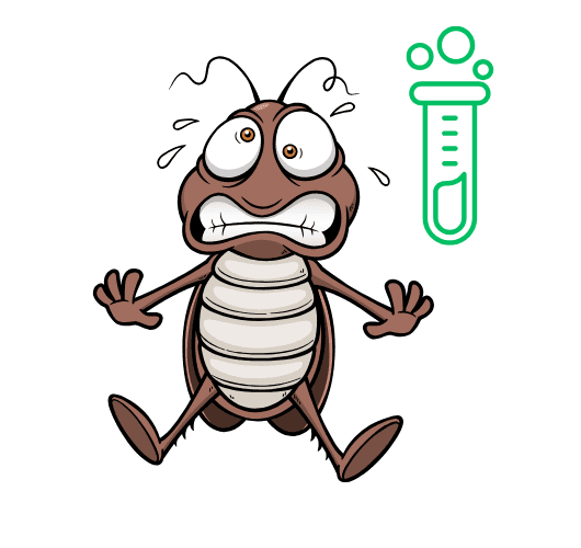 traitement cafard biocide traitement cafard biocide
