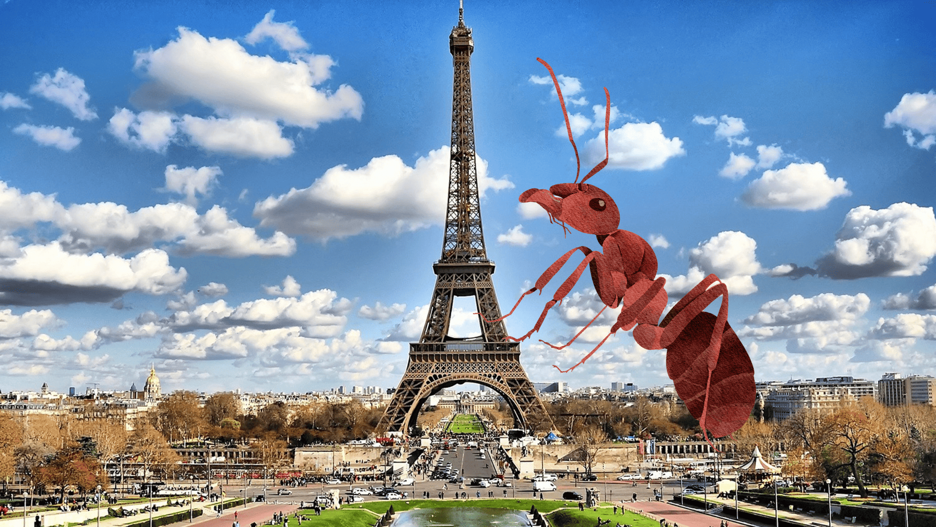 Fourmis à paris Fourmis à paris