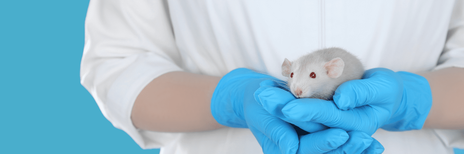 maladie Maladie à cause du rat