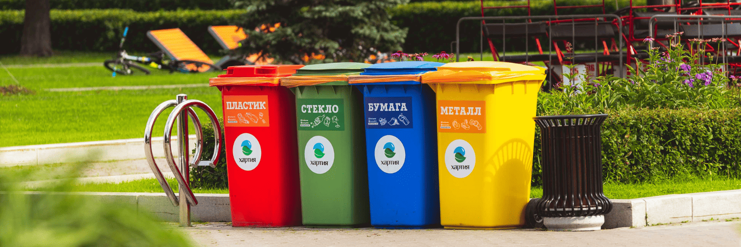 poubelles les rats sont attirées par les poubelles