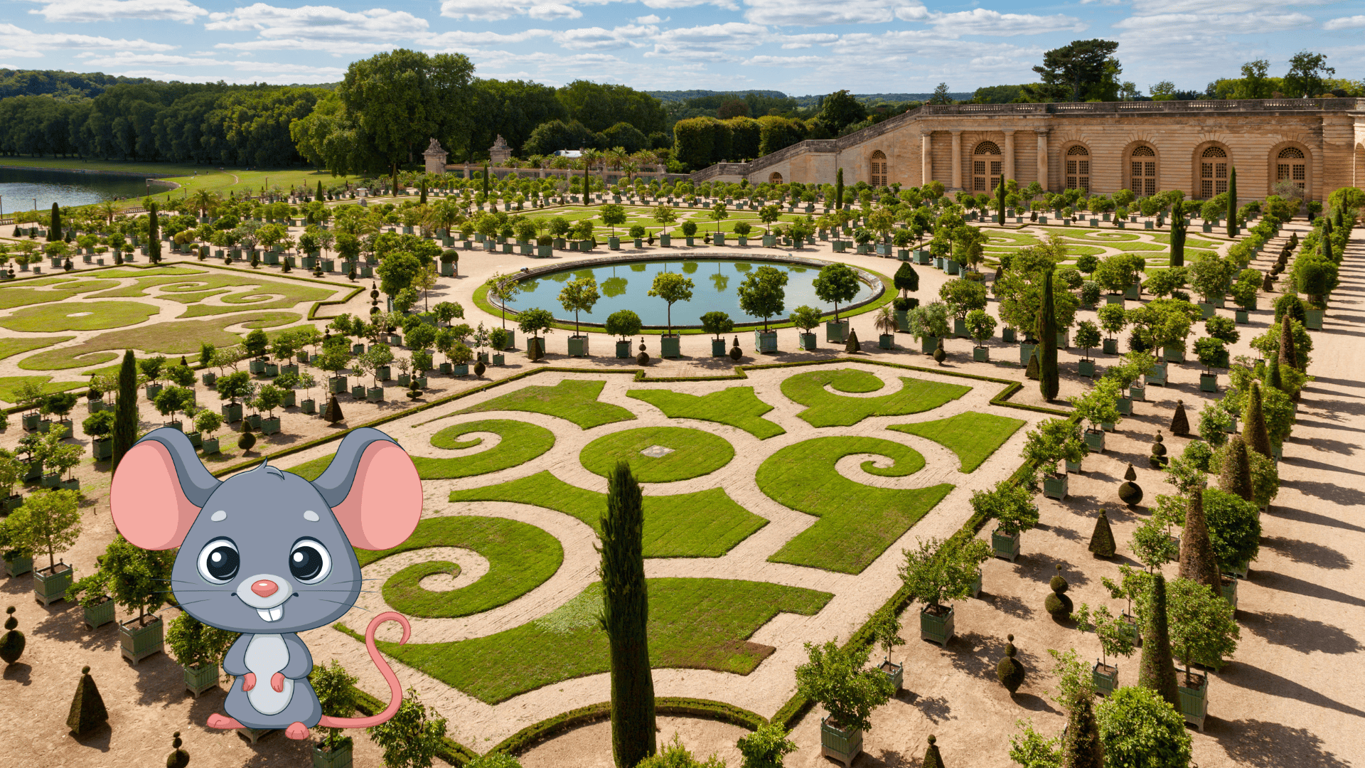 dératisation versailles dératisation versailles