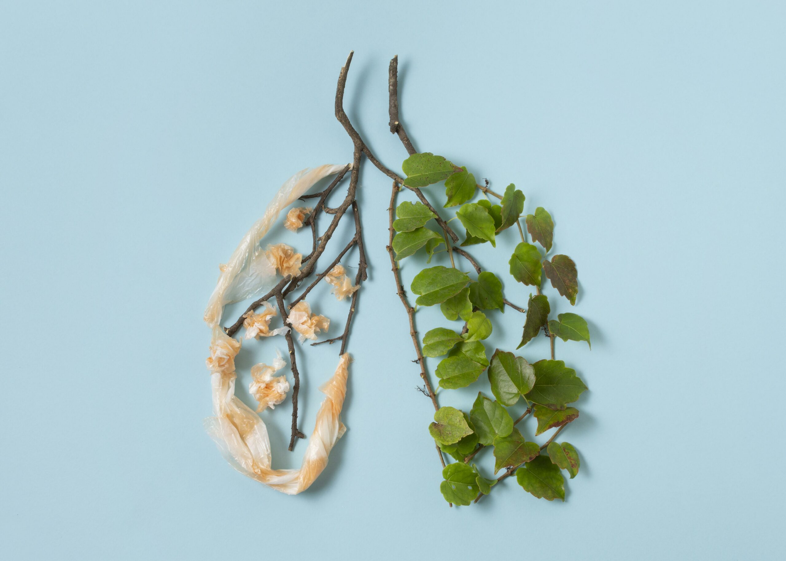 problème respiratoire problème respiratoire traitement cafard