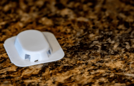 pièges à fourmis boite