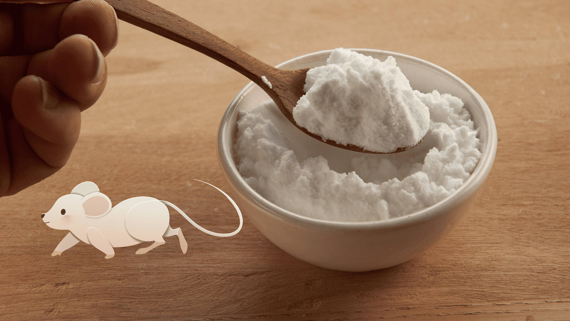 bicarbonate de soude alimentaire contre les souris