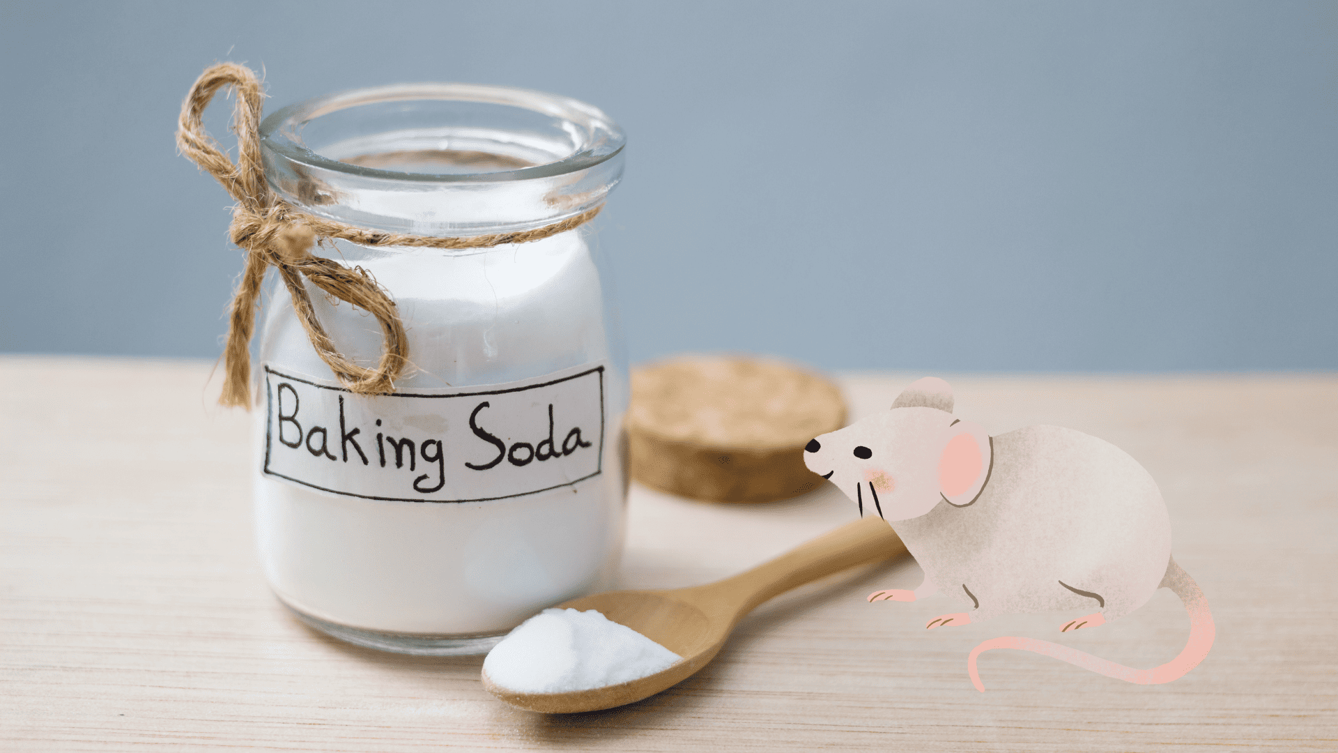 Le bicarbonate de soude alimentaire contre les souris Le bicarbonate de soude alimentiare contre les souris