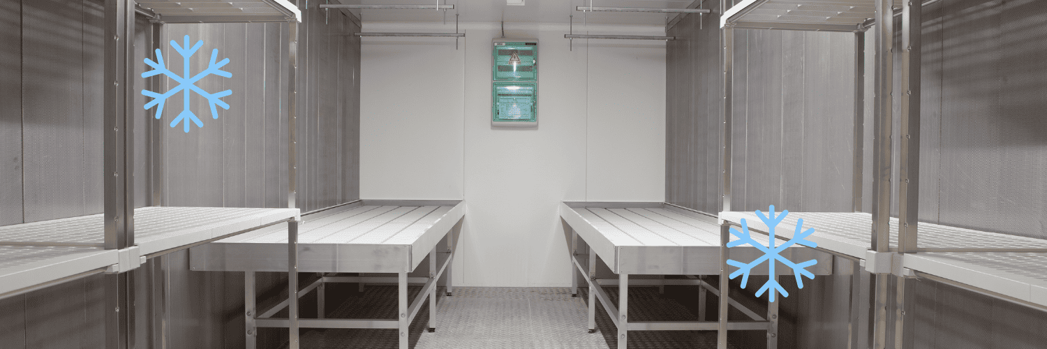 Traitement par le froid punaise de lit