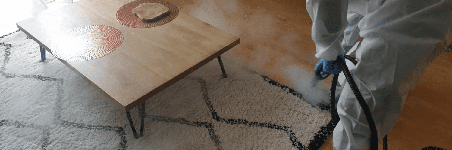 Traitement professionnel vapeur