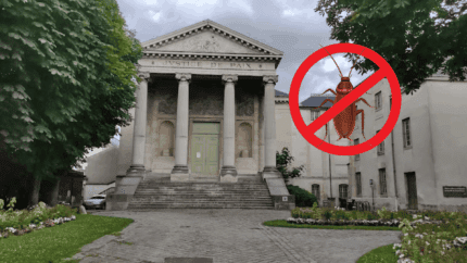 Traitement cafard dans le 93