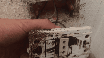 Traces de punaise de lit