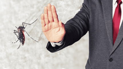 Entreprise de désinsectisation moustique