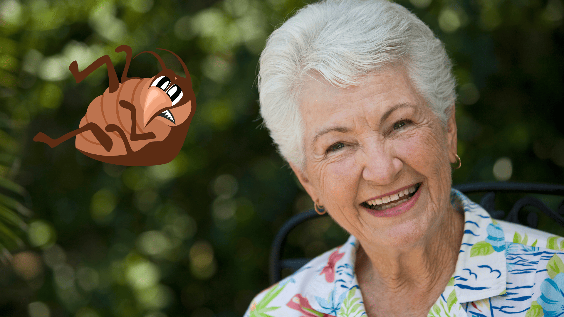 Trucs de grand mère contre les punaises de lit