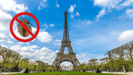 Entreprise punaise de lit Paris