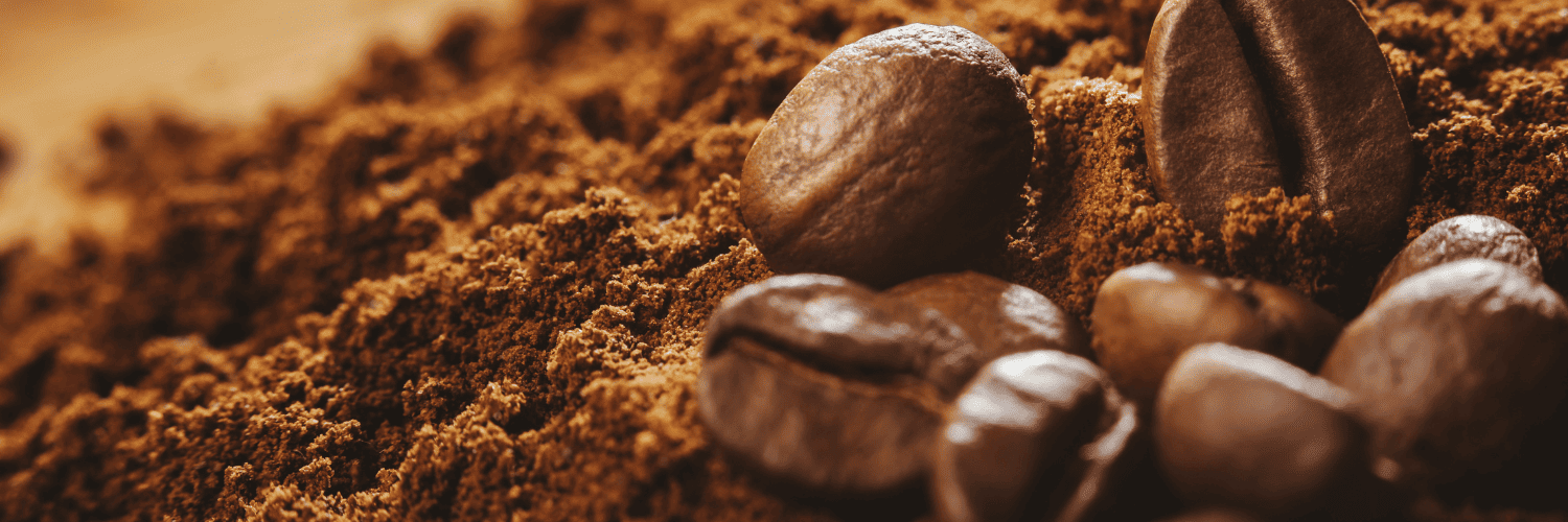 marc de café pour moustique