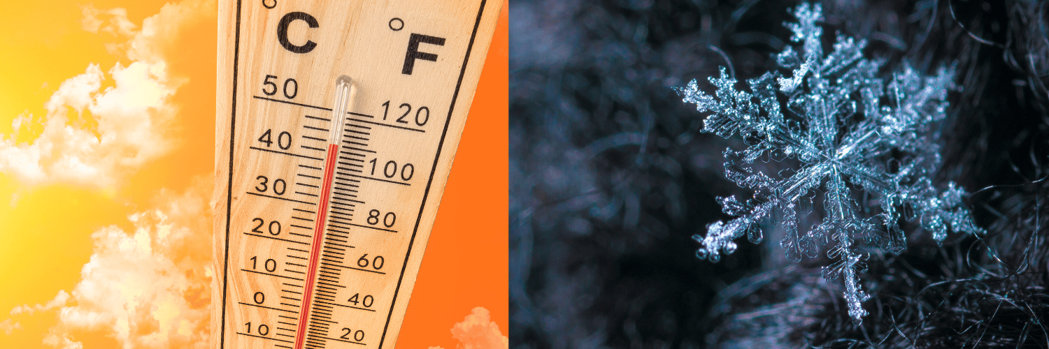 Traitement thermique contre les punaises de lit
