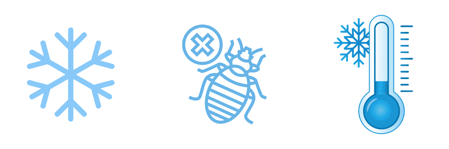 Traitement par le froid punaise de lit