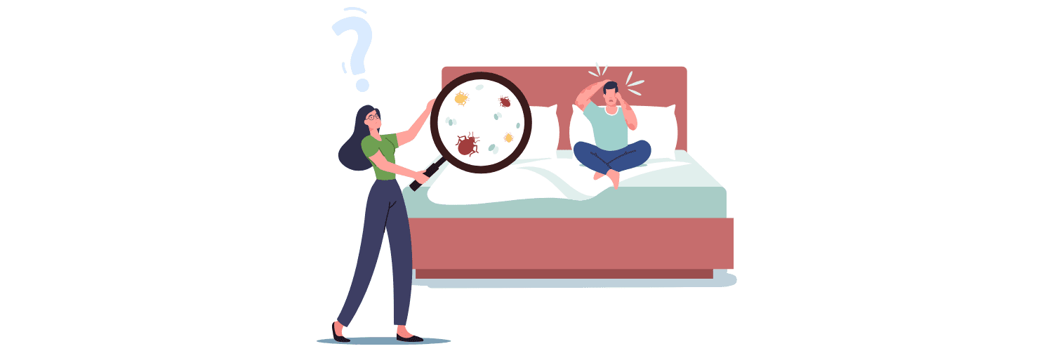 ne pas ramener des punaises de lit à la maison