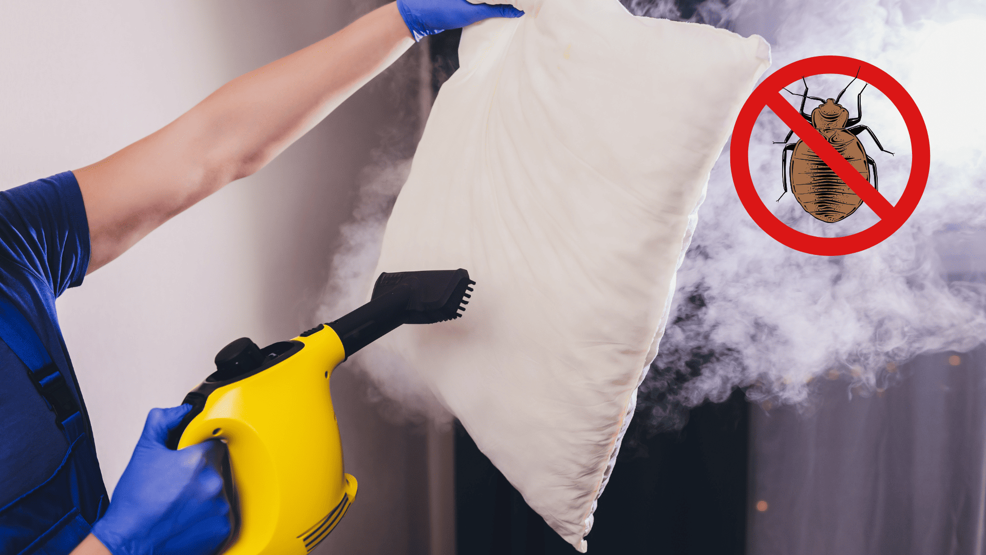 Traitement thermique punaise de lit