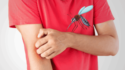 Traitement préventif contre les moustiques