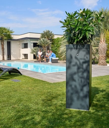 ma boite à moustique